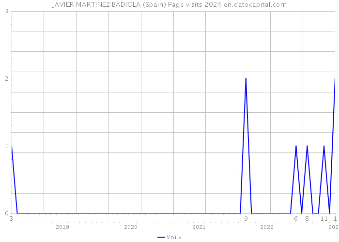 JAVIER MARTINEZ BADIOLA (Spain) Page visits 2024 