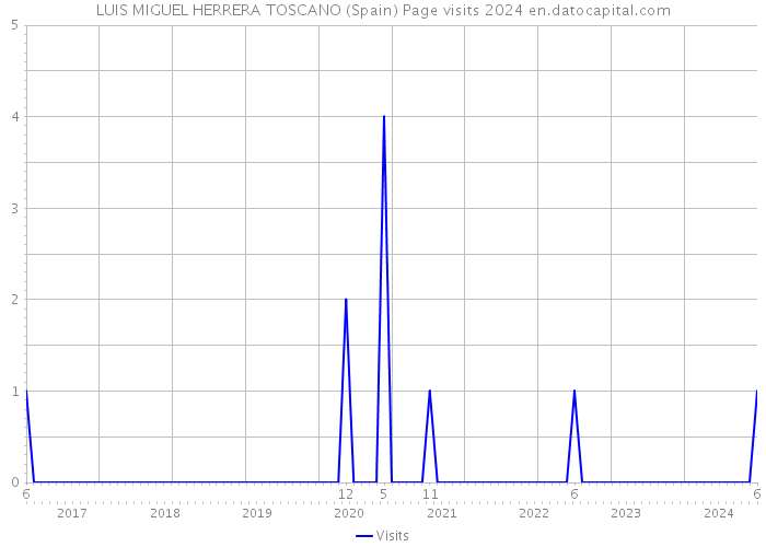 LUIS MIGUEL HERRERA TOSCANO (Spain) Page visits 2024 