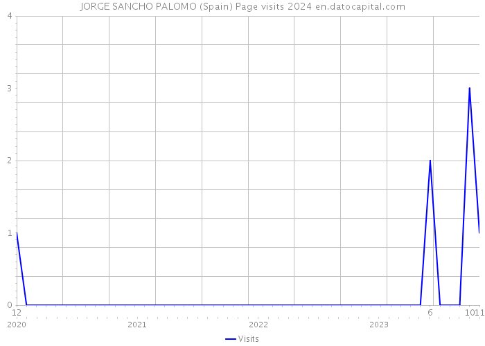 JORGE SANCHO PALOMO (Spain) Page visits 2024 