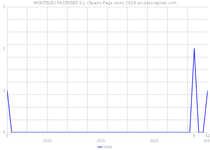 MONTELEX PACENSES S.L. (Spain) Page visits 2024 