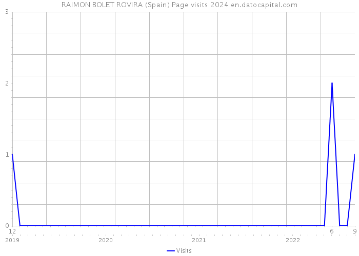 RAIMON BOLET ROVIRA (Spain) Page visits 2024 
