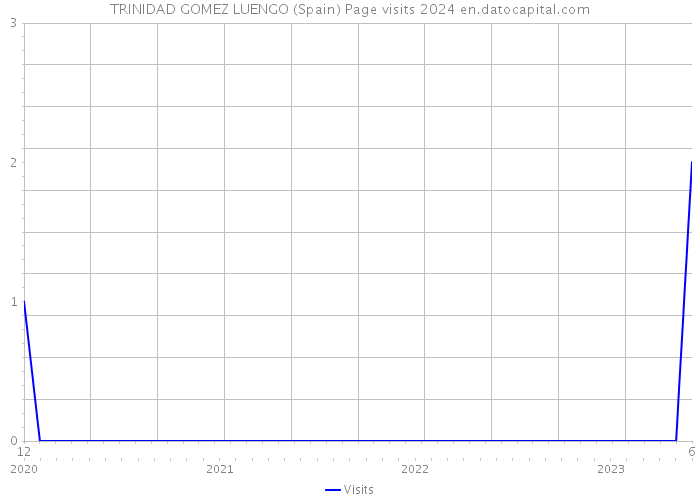 TRINIDAD GOMEZ LUENGO (Spain) Page visits 2024 