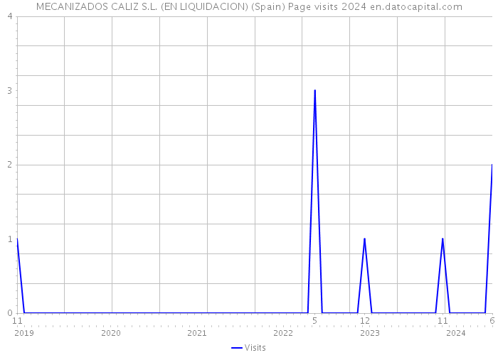 MECANIZADOS CALIZ S.L. (EN LIQUIDACION) (Spain) Page visits 2024 