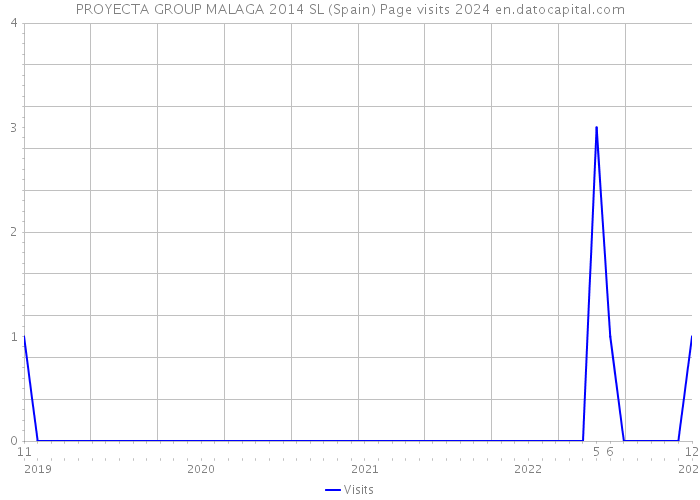 PROYECTA GROUP MALAGA 2014 SL (Spain) Page visits 2024 