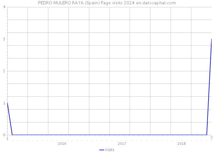 PEDRO MULERO RAYA (Spain) Page visits 2024 