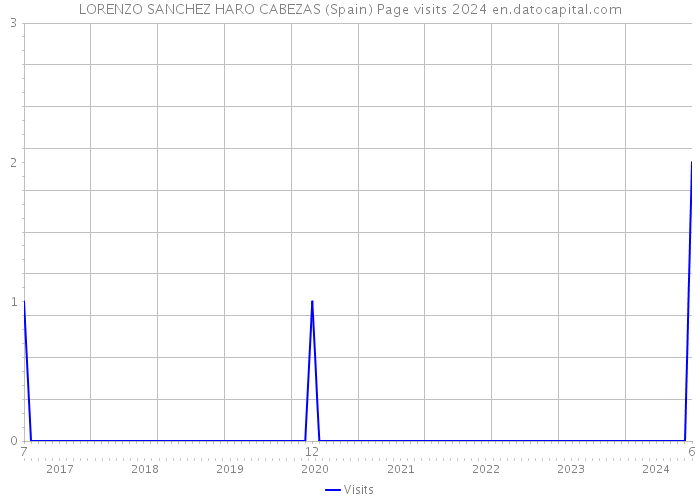 LORENZO SANCHEZ HARO CABEZAS (Spain) Page visits 2024 