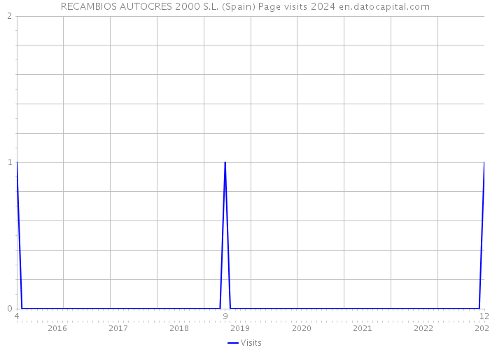 RECAMBIOS AUTOCRES 2000 S.L. (Spain) Page visits 2024 