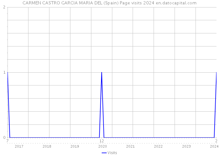 CARMEN CASTRO GARCIA MARIA DEL (Spain) Page visits 2024 