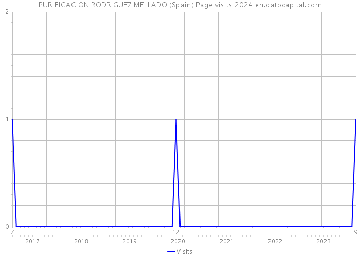 PURIFICACION RODRIGUEZ MELLADO (Spain) Page visits 2024 