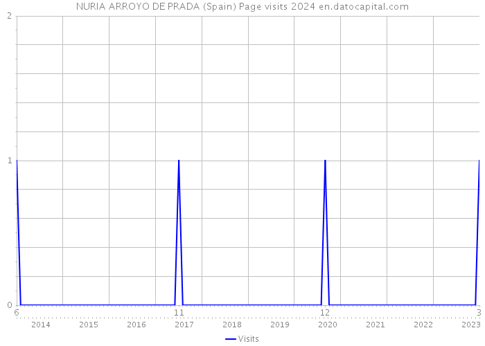 NURIA ARROYO DE PRADA (Spain) Page visits 2024 