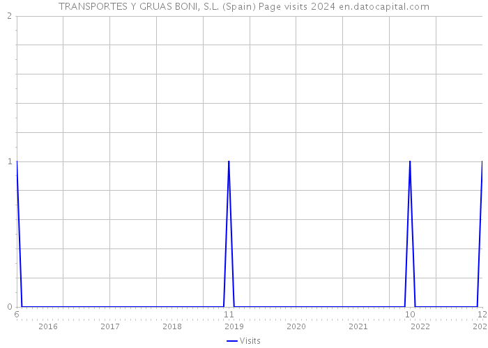 TRANSPORTES Y GRUAS BONI, S.L. (Spain) Page visits 2024 