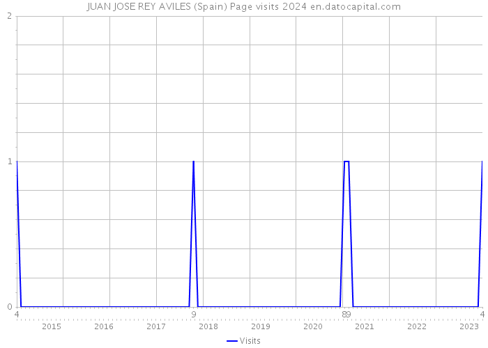 JUAN JOSE REY AVILES (Spain) Page visits 2024 