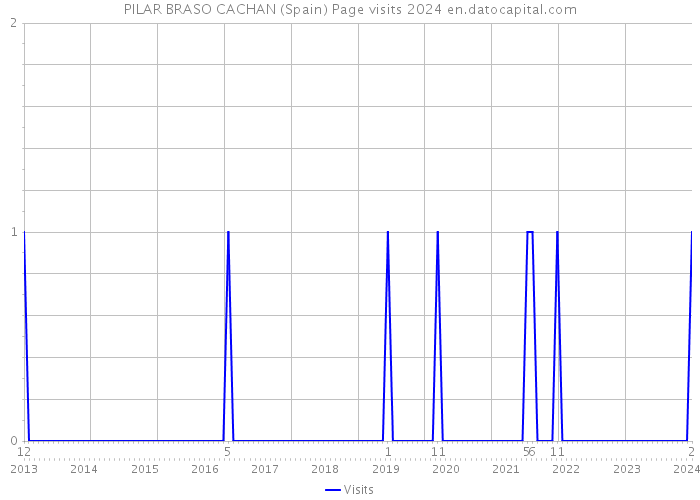 PILAR BRASO CACHAN (Spain) Page visits 2024 