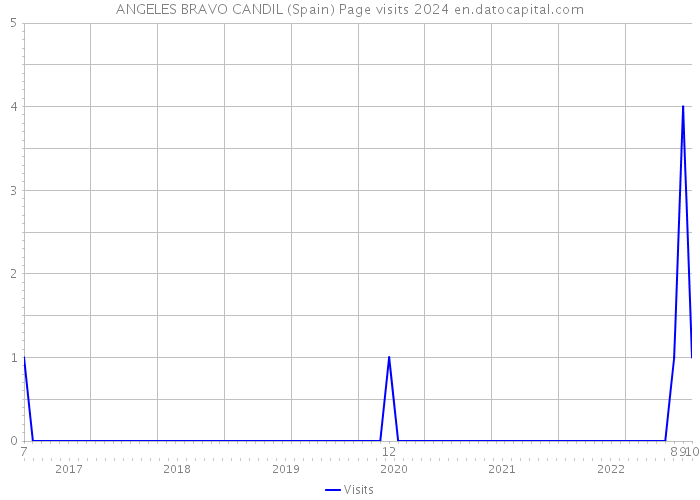 ANGELES BRAVO CANDIL (Spain) Page visits 2024 