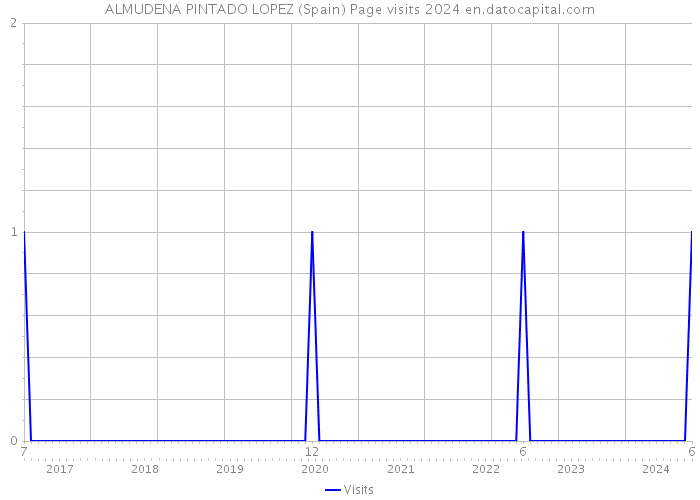 ALMUDENA PINTADO LOPEZ (Spain) Page visits 2024 