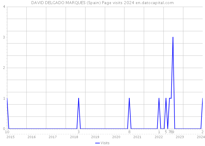 DAVID DELGADO MARQUES (Spain) Page visits 2024 