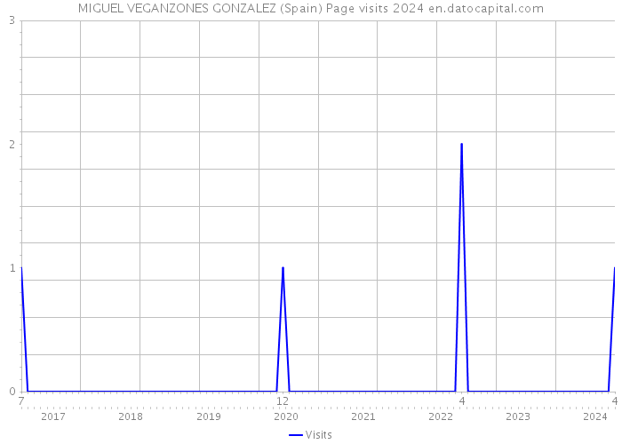 MIGUEL VEGANZONES GONZALEZ (Spain) Page visits 2024 