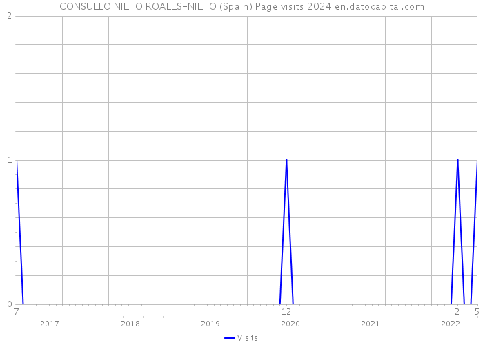 CONSUELO NIETO ROALES-NIETO (Spain) Page visits 2024 