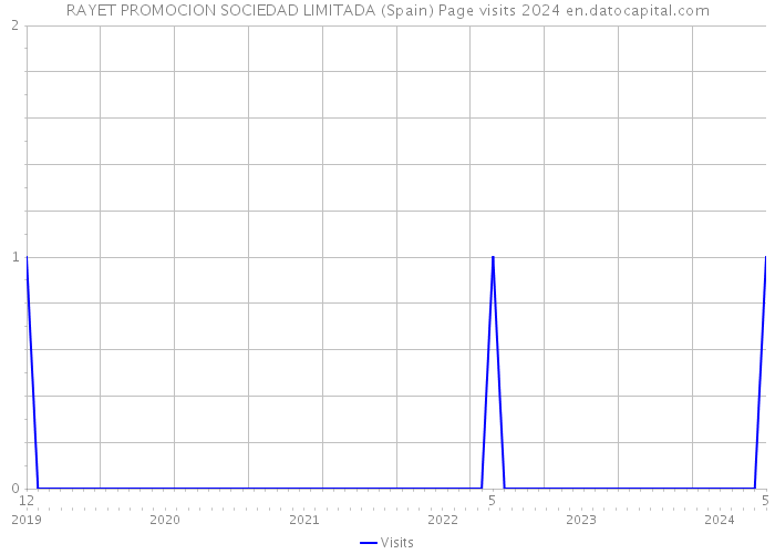 RAYET PROMOCION SOCIEDAD LIMITADA (Spain) Page visits 2024 