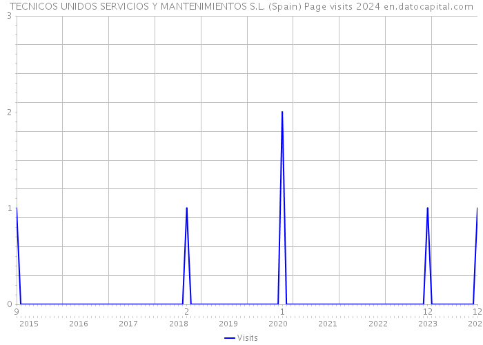 TECNICOS UNIDOS SERVICIOS Y MANTENIMIENTOS S.L. (Spain) Page visits 2024 