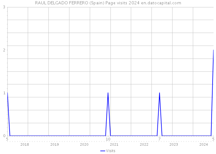 RAUL DELGADO FERRERO (Spain) Page visits 2024 