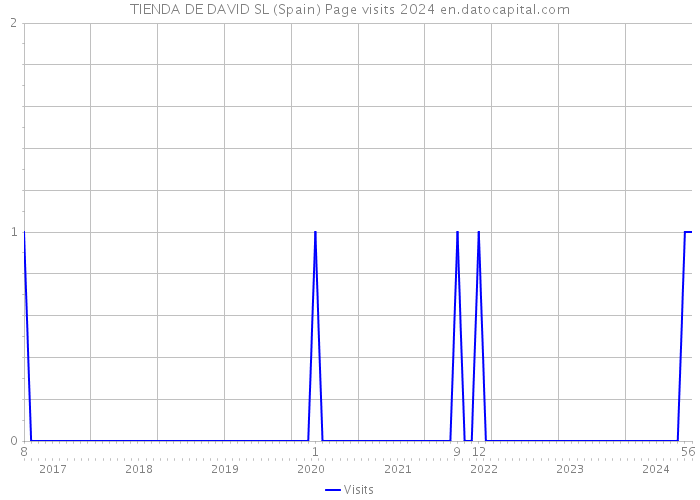 TIENDA DE DAVID SL (Spain) Page visits 2024 