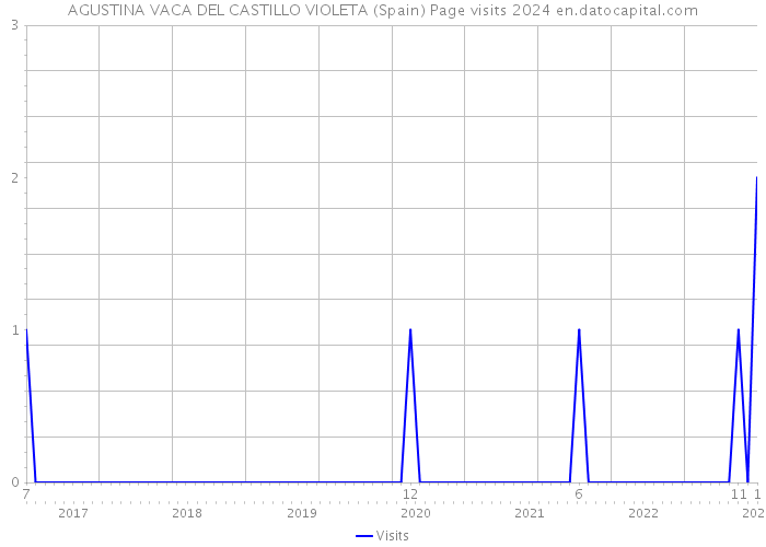 AGUSTINA VACA DEL CASTILLO VIOLETA (Spain) Page visits 2024 