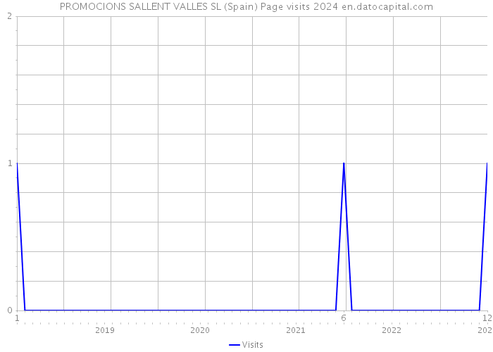 PROMOCIONS SALLENT VALLES SL (Spain) Page visits 2024 