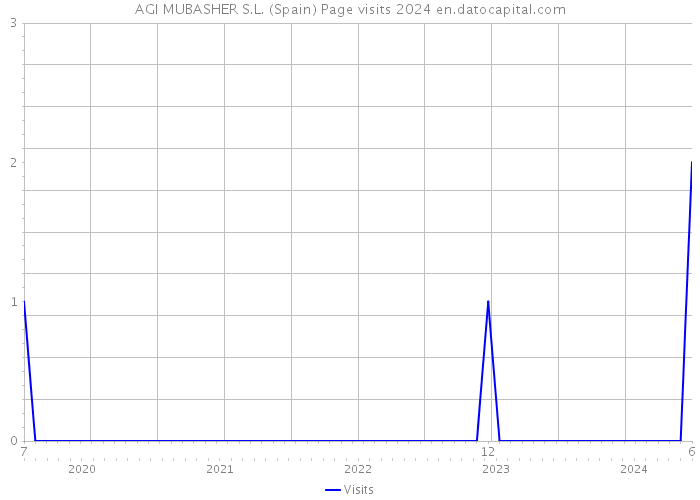 AGI MUBASHER S.L. (Spain) Page visits 2024 