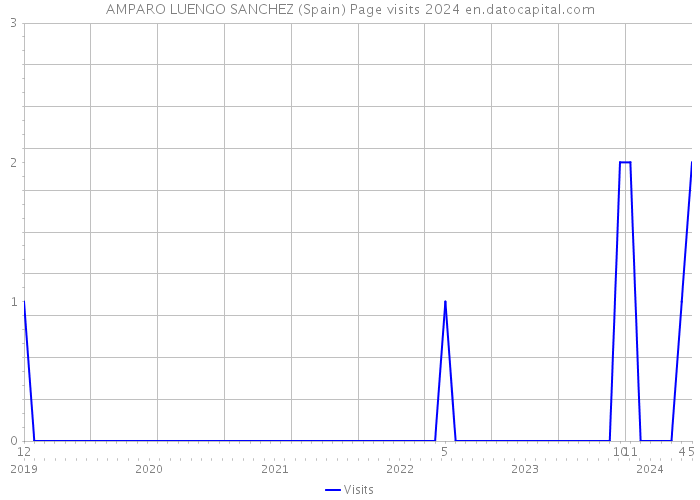 AMPARO LUENGO SANCHEZ (Spain) Page visits 2024 
