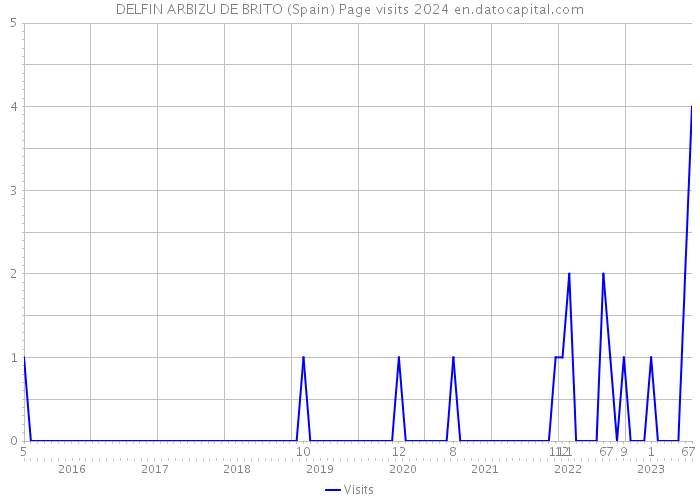 DELFIN ARBIZU DE BRITO (Spain) Page visits 2024 