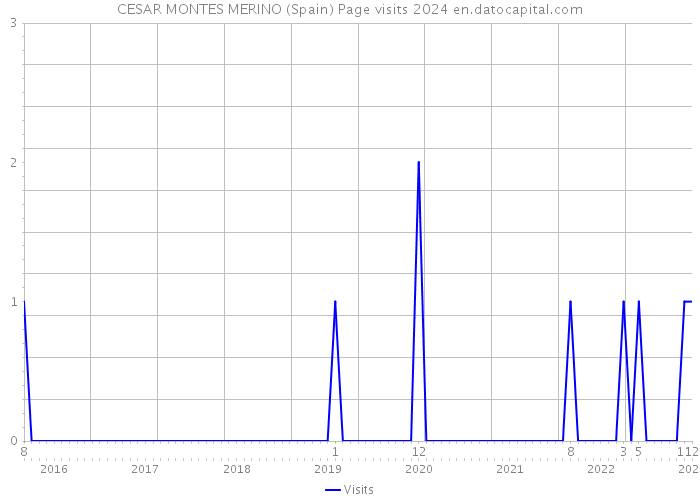 CESAR MONTES MERINO (Spain) Page visits 2024 