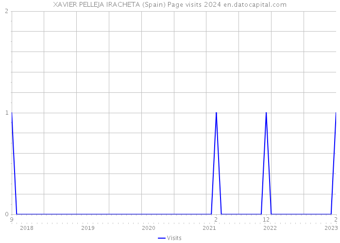 XAVIER PELLEJA IRACHETA (Spain) Page visits 2024 