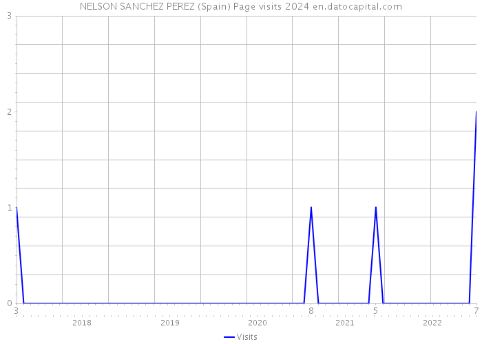NELSON SANCHEZ PEREZ (Spain) Page visits 2024 
