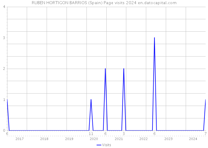 RUBEN HORTIGON BARRIOS (Spain) Page visits 2024 