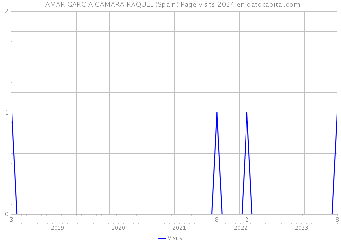 TAMAR GARCIA CAMARA RAQUEL (Spain) Page visits 2024 