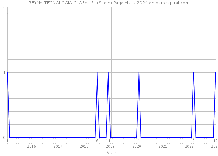REYNA TECNOLOGIA GLOBAL SL (Spain) Page visits 2024 
