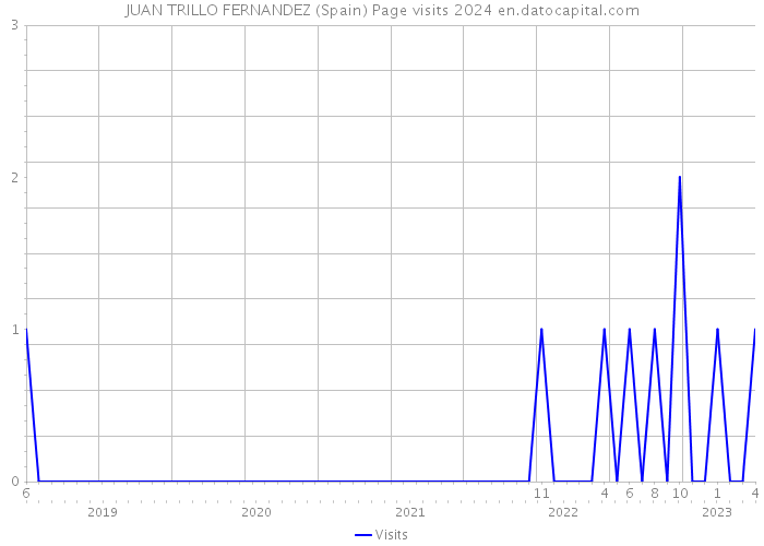 JUAN TRILLO FERNANDEZ (Spain) Page visits 2024 
