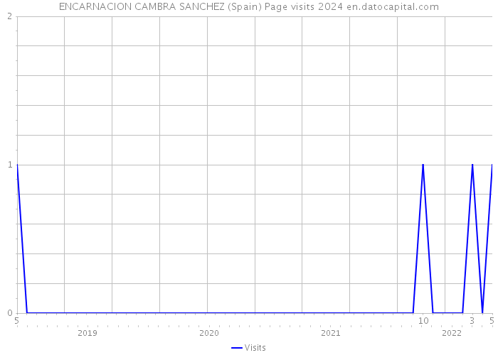 ENCARNACION CAMBRA SANCHEZ (Spain) Page visits 2024 