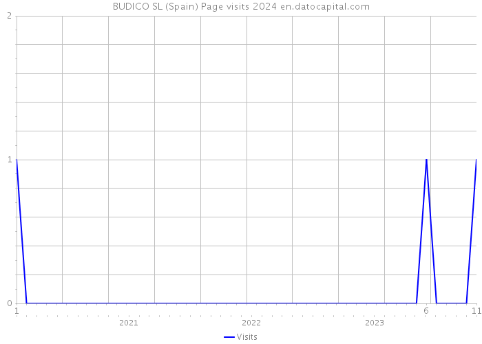 BUDICO SL (Spain) Page visits 2024 