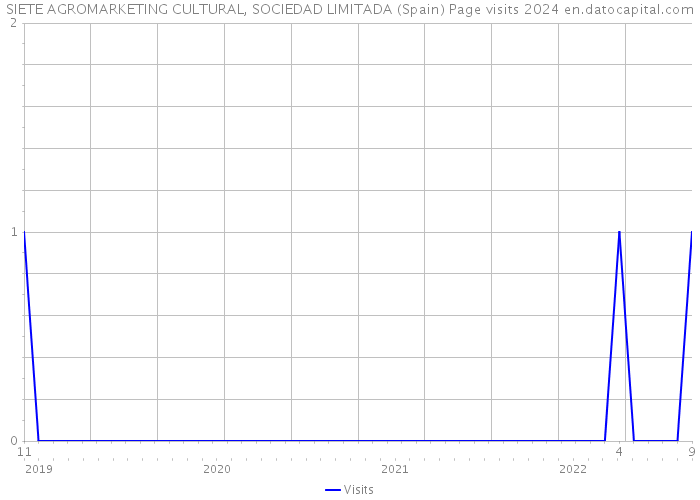 SIETE AGROMARKETING CULTURAL, SOCIEDAD LIMITADA (Spain) Page visits 2024 