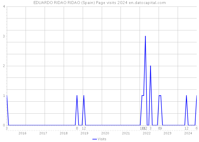EDUARDO RIDAO RIDAO (Spain) Page visits 2024 