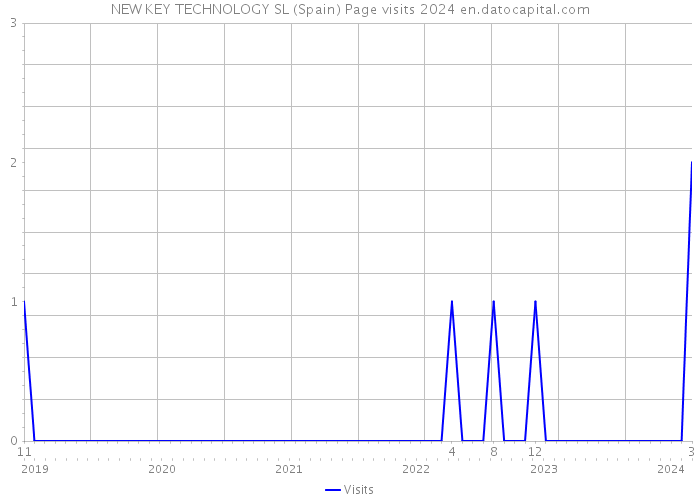 NEW KEY TECHNOLOGY SL (Spain) Page visits 2024 