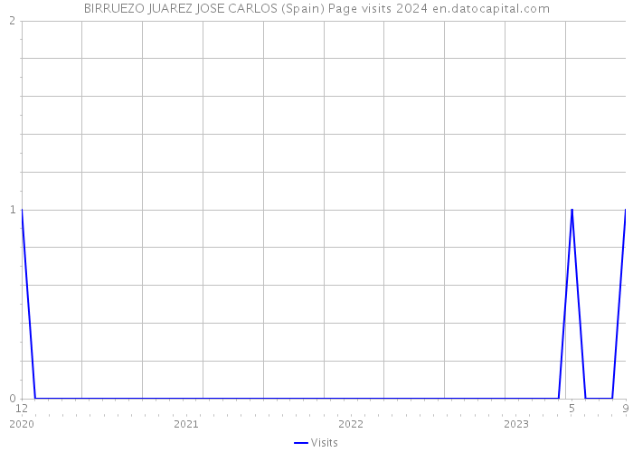 BIRRUEZO JUAREZ JOSE CARLOS (Spain) Page visits 2024 