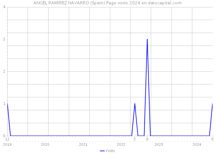 ANGEL RAMIREZ NAVARRO (Spain) Page visits 2024 