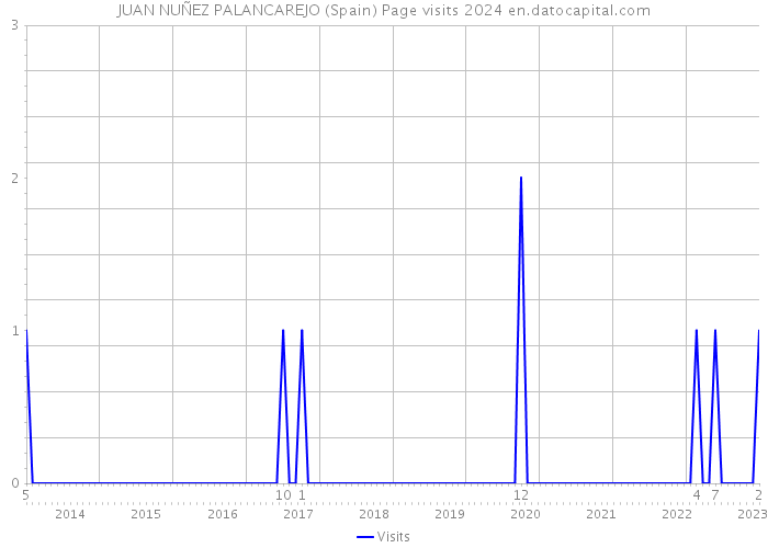 JUAN NUÑEZ PALANCAREJO (Spain) Page visits 2024 