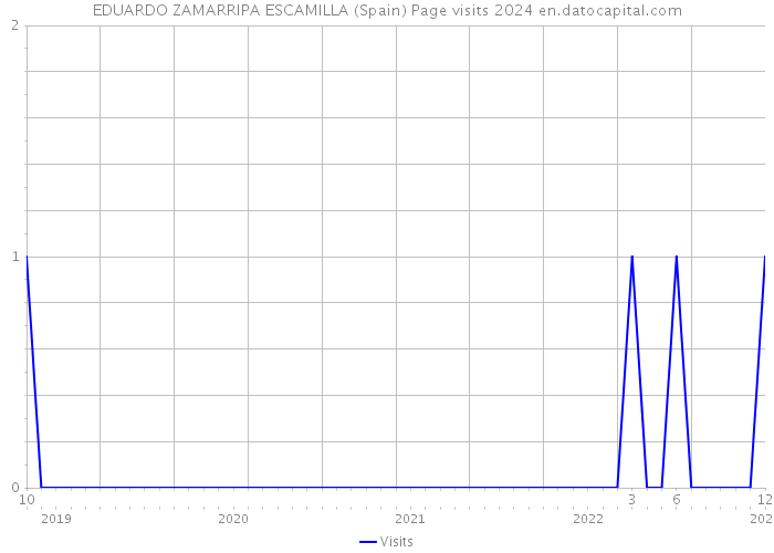 EDUARDO ZAMARRIPA ESCAMILLA (Spain) Page visits 2024 