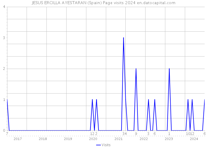 JESUS ERCILLA AYESTARAN (Spain) Page visits 2024 