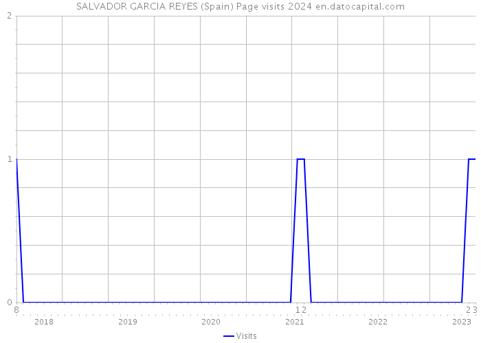 SALVADOR GARCIA REYES (Spain) Page visits 2024 