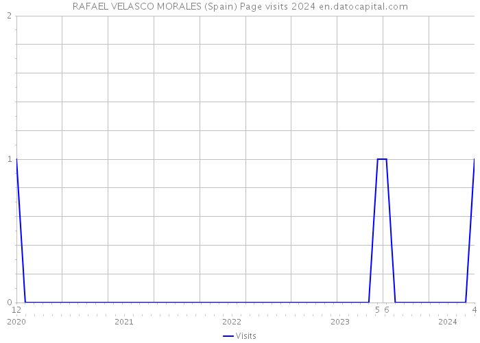 RAFAEL VELASCO MORALES (Spain) Page visits 2024 